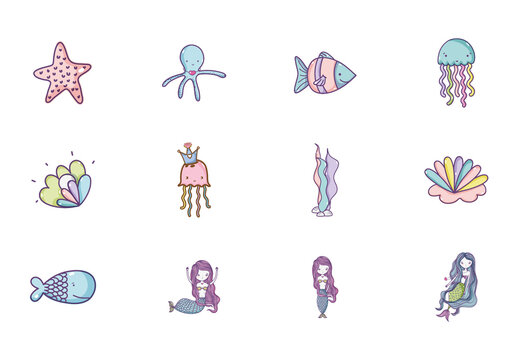 Colorful Mermaid Jellyfish Starfish Fantasy Illustrations Set