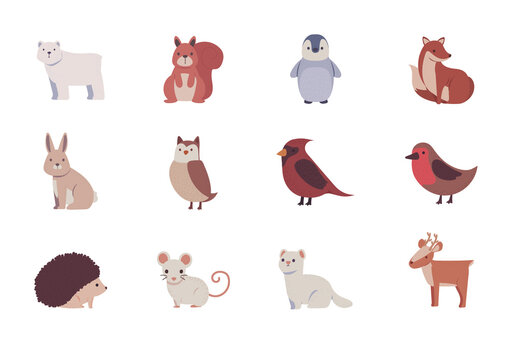 Colorful Forest Creatures Drawing Illustration Set