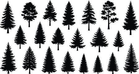 Diverse collection of black silhouettes of coniferous and deciduous trees on white nature forest © ripon29