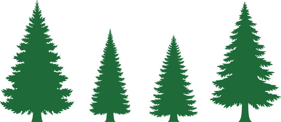 Four Green Evergreen Tree Silhouettes of Varying Sizes on White Background Keywords: pine tree, fir tree, spruce tree, evergreen