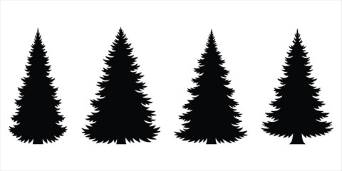 Four black silhouettes of tall, conical pine trees on a white background Keywords: tree, trees, pine, fir, spruce, silhouette