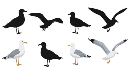 Obraz premium Seagull silhouettes and colorful illustrations depict various flying and standing poses