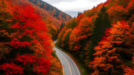 Scenic autumn road winding through vibrant red and orange forest with trees on both sides and cloudy sky