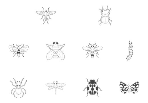 Black Insect Butterfly Beetle Bug Illustrations Set