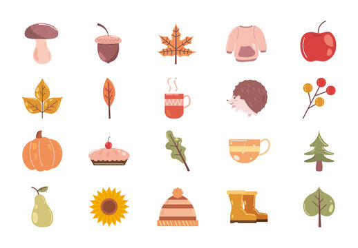 Colorful Autumn Cozy Seasonal Illustration Set