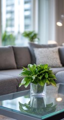 Elegant Living Room Interior with Green Plant on Glass Table.