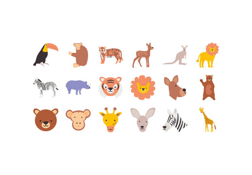 Colorful Flat Jungle Animals Illustration Set