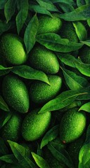 Lush Green Avocado Abundance - A Vibrant Still Life Composition.