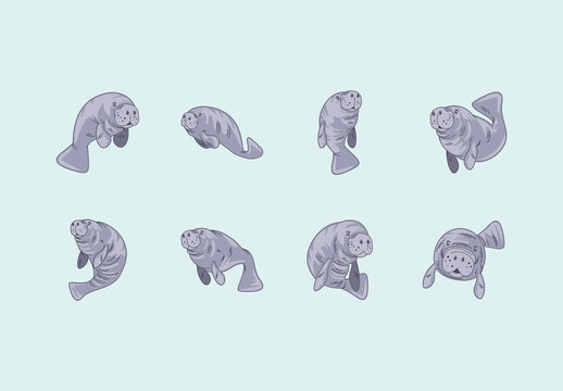 Gray And Blue SeaCow Marine Animal Illustrations Set