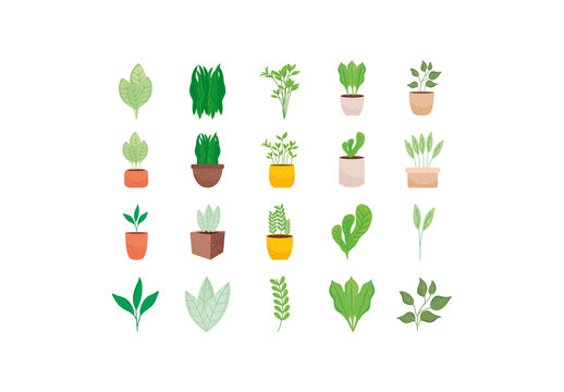 Green Flat Potted Plants Illustration Set