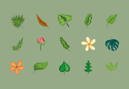 Green Leaves Tropical Plants Nature Illustration Set