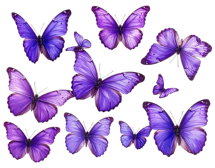 Digitally created illustration of multiple purple and blue butterflies scattered against black