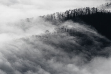 Misty forest landscape with fog and layered hills