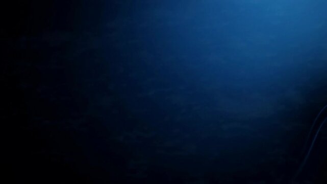 Would you like me to generate a similar description for a different color theme?