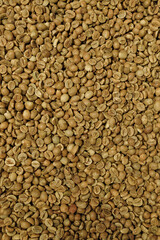 Fototapeta premium Top view of high-quality raw green coffee beans before the roasting process, showing natural texture and organic detail