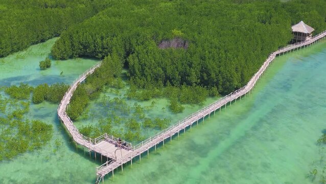 Aerial view of wooden boardwalk through mangroves, Philippines
