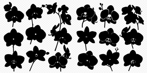 Collection of beautiful orchid flower silhouettes, elegant tropical plant vector illustrations for design projects. © Akun