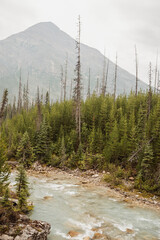 Cascading river through Maligne Canyon in Jasper National Park, Alberta, Canada