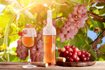 Obraz premium Wine in bottle and glass, fresh grapes, corkscrew on table in vineyard