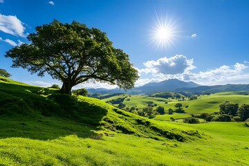 Beautiful Lone Tree on Green Grassy Hills Under Blue Sky, Peaceful Nature Landscape with Sunlight and Rolling Countryside
