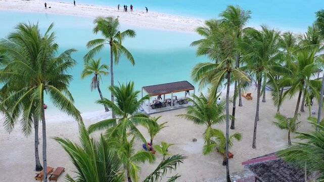 Aerial view of palm trees and tropical beachfront park, Philippines