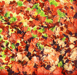 Oil painting. Flowering branches against the sky