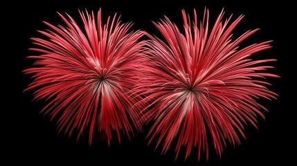 Real red fireworks display in the black sky, photorealistic