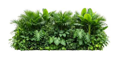 Lush green tropical plants and foliage create a vibrant natural wall, showcasing a rich variety of leaves and textures in a dense, healthy botanical display.