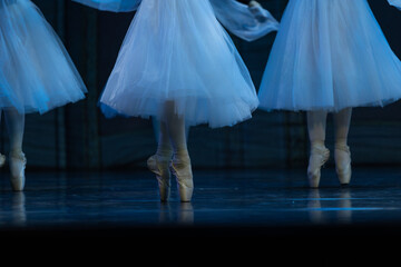 Closeup of ballerinas dancing on stage. © Ruslan