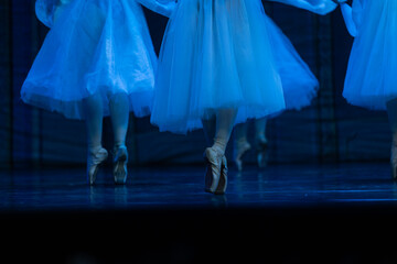 Closeup of ballerinas dancing on stage. © Ruslan