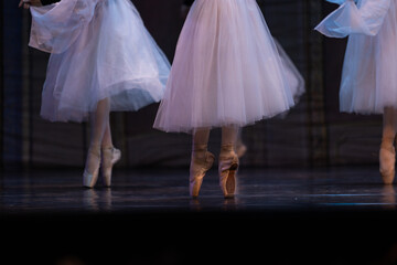 Closeup of ballerinas dancing on stage. © Ruslan