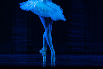 Closeup of ballerinas dancing on stage. © Ruslan