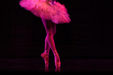Closeup of ballerinas dancing on stage. © Ruslan
