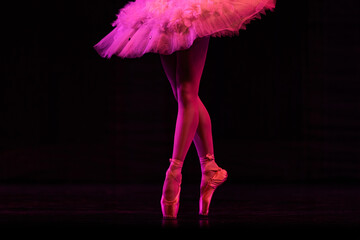 Closeup of ballerinas dancing on stage. © Ruslan