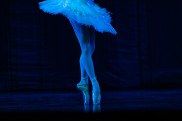 Closeup of ballerinas dancing on stage. © Ruslan