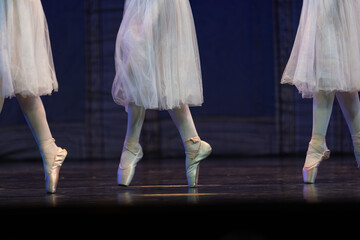 Closeup of ballerinas dancing on stage. © Ruslan