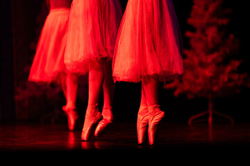 Closeup of ballerinas dancing on stage. © Ruslan