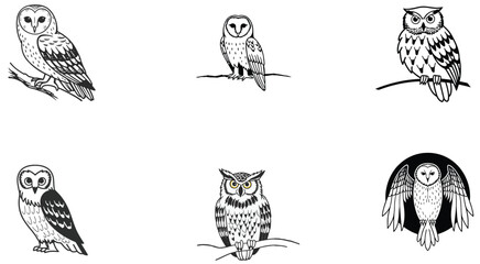 owl vector design with black silhouette and white background