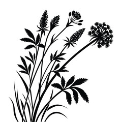 Plantain silhouette black color isolated on transparent background hand drawn vector illustration grass flora elements © Hafiz
