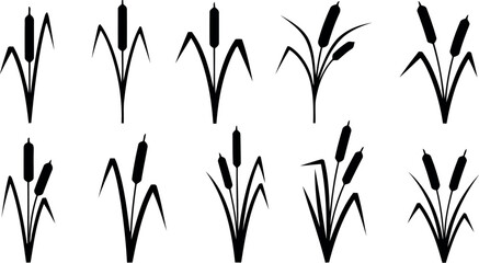 Employee appreciation day illustration