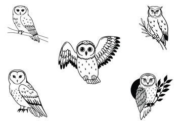 owl vector design with black silhouette and white background