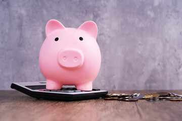 Piggy Bank on Top of Calculator