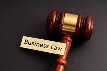 Gavel and text business law concept