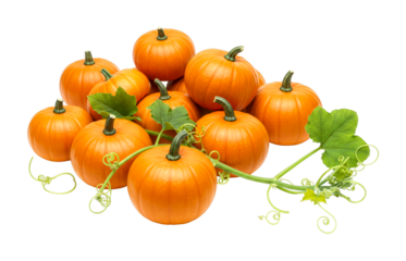 Small orange pumpkins with green leaves and tendrils are freshly harvested and piled together, showcasing their vibrant autumn colors and natural beauty.
