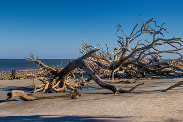 Jekyll Island along the Atlantic Coast of Georgia, United States