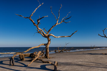 Jekyll Island along the Atlantic Coast of Georgia, United States