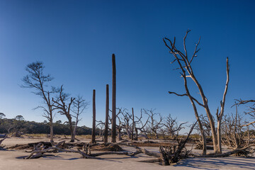 Jekyll Island along the Atlantic Coast of Georgia, United States