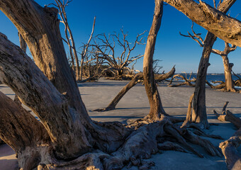 Jekyll Island along the Atlantic Coast of Georgia, United States