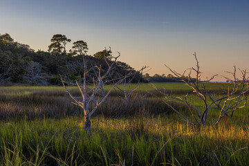 Jekyll Island along the Atlantic Coast of Georgia, United States