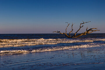 Jekyll Island along the Atlantic Coast of Georgia, United States